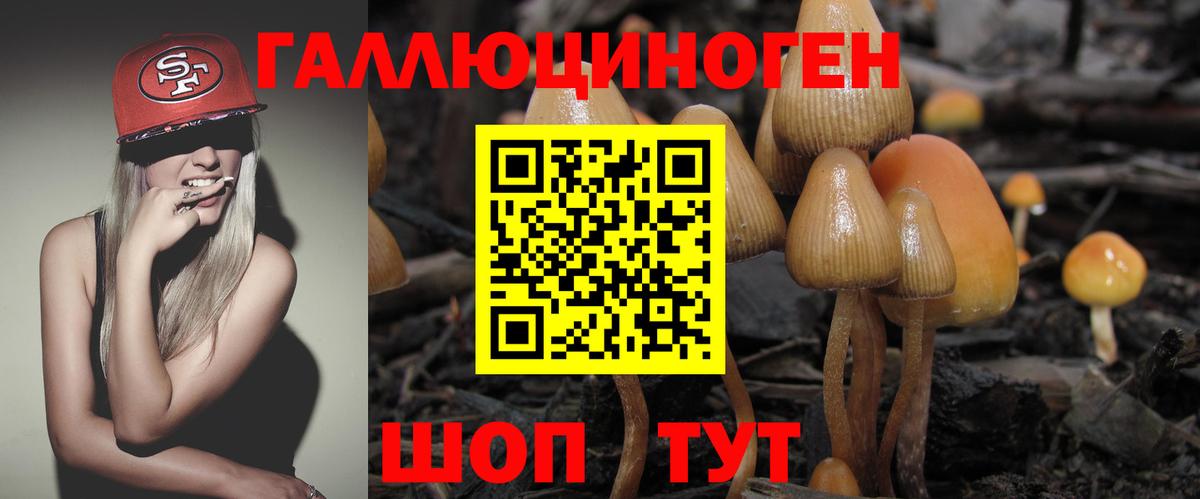 Галлюциногенные грибы Magic Shrooms  Вход с VPN  Назарово 